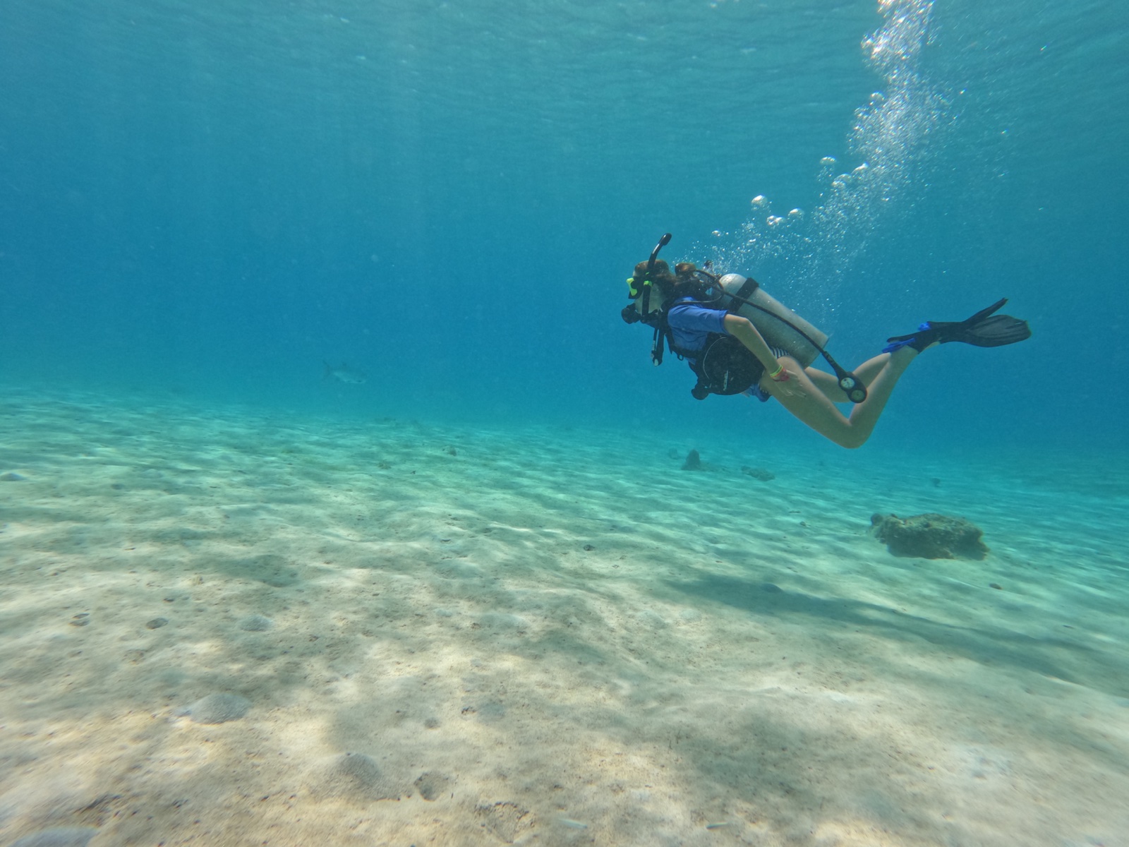 PADI Open Water Certification