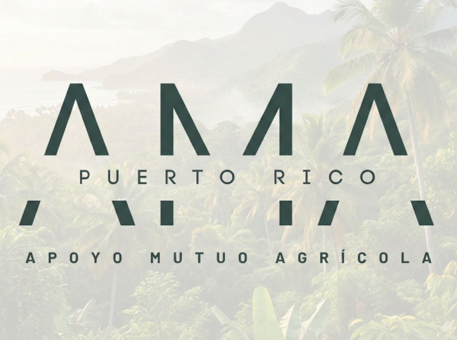 Independent Collaboration with Apoyo Mutuo Agricola